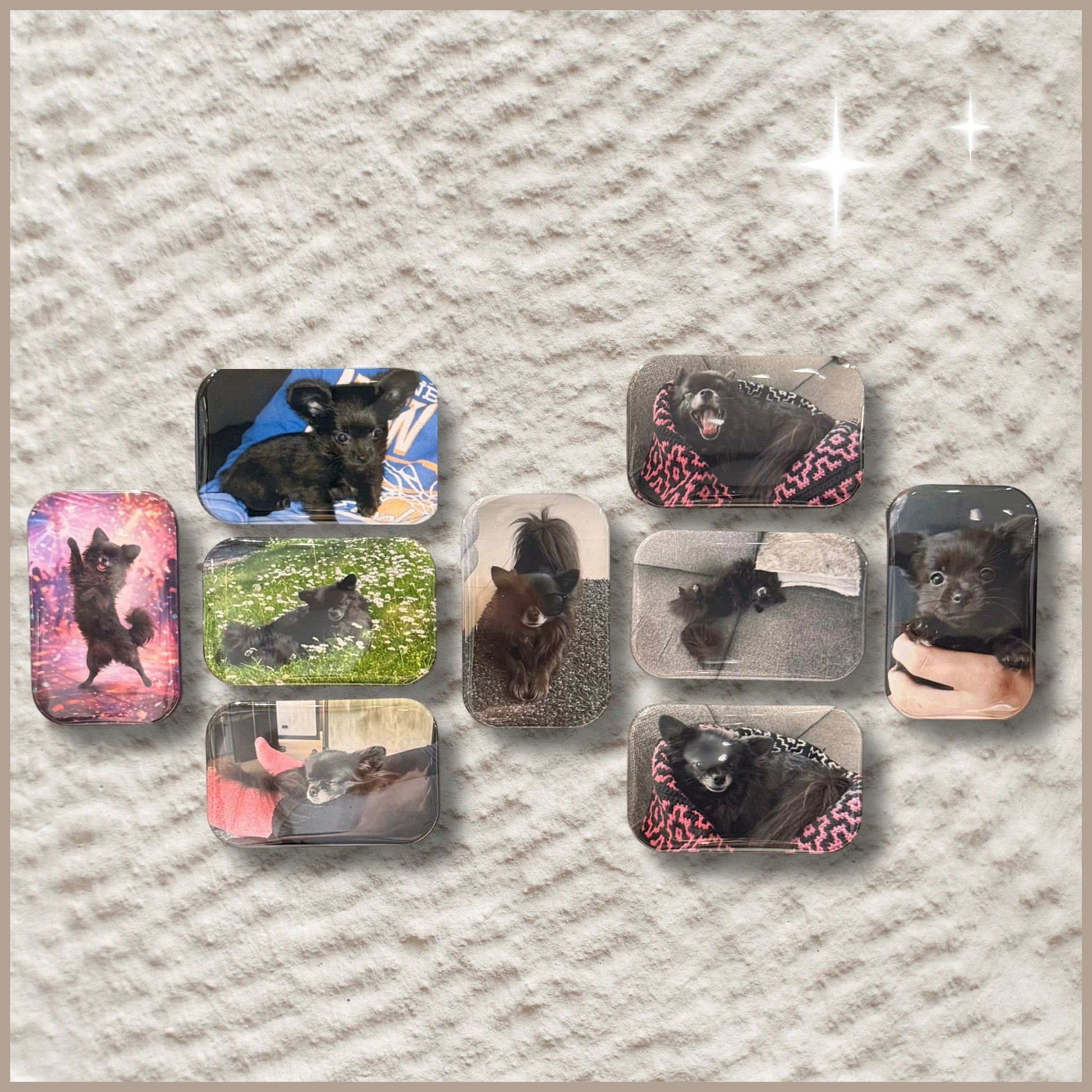 Een set van negen rechthoekige fotomagneten met verschillende foto's van een klein hondje.