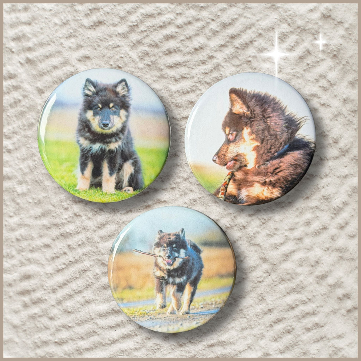 Set van drie ronde fotomagneten met een diameter van 38 mm, bedrukt met foto's van een puppy.