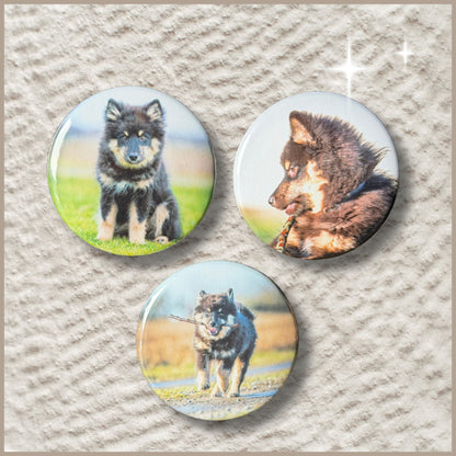 Set van drie ronde fotomagneten met een diameter van 38 mm, bedrukt met foto's van een puppy.