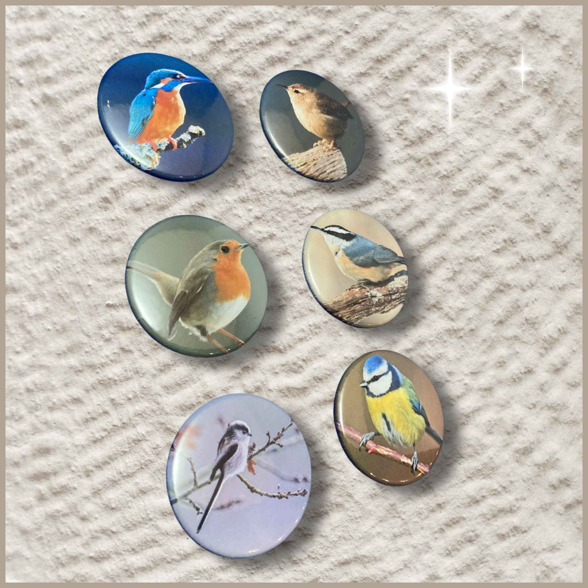 Set van 6 gepersonaliseerde ronde fotomagneten van 38 mm met foto's van vogels.