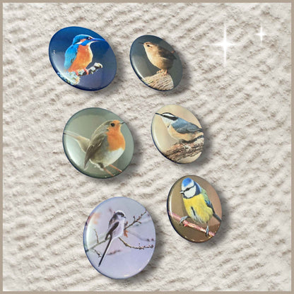 Set van 6 gepersonaliseerde ronde fotomagneten van 38 mm met foto's van vogels.